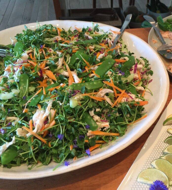 Thai Chicken Pea Shoot Salad with Peanut Dressing