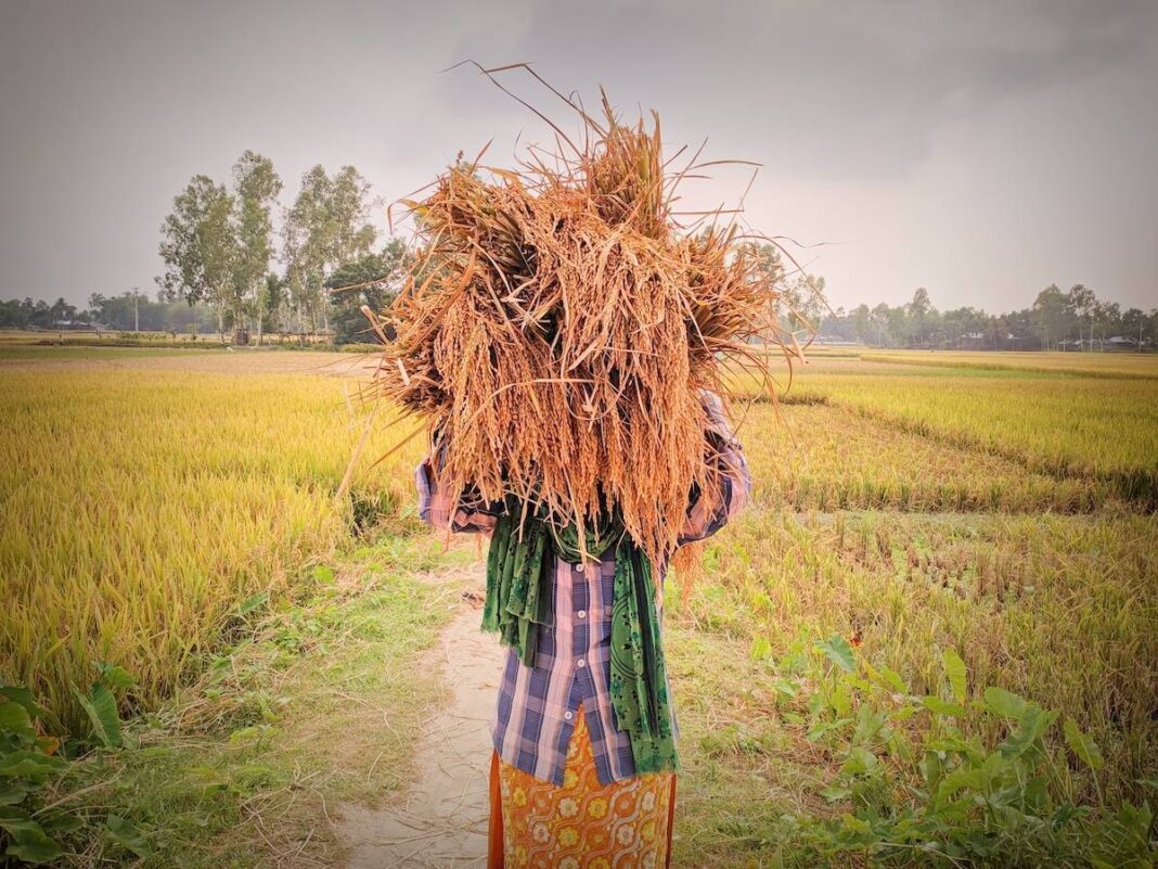 a woman holding rice