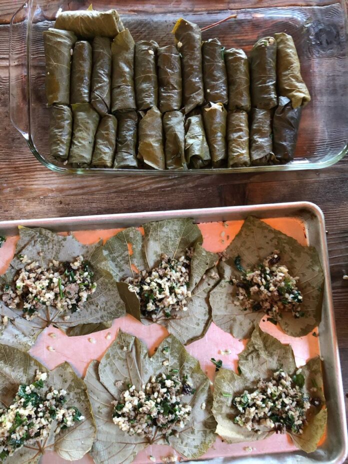 Mediterranean Stuffed Grape Leaves