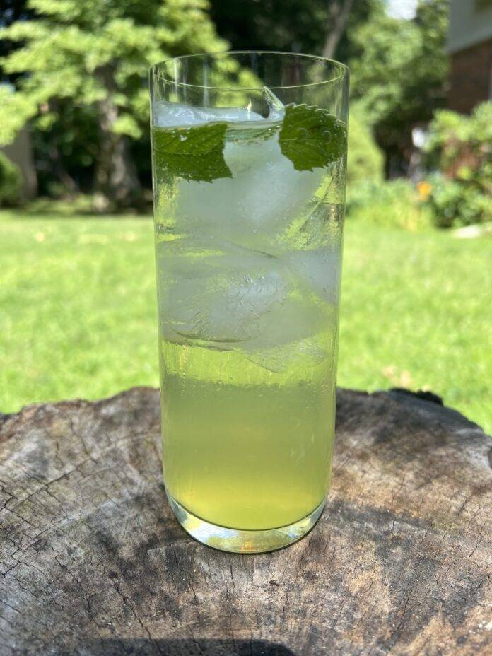 Limoncello Spritzer