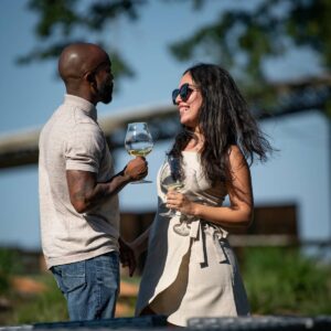 Sokol Blosser Vineyard