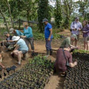 A group of people plant seedlings on a trip organized by Earthwatch. Photo credit Dr Natalia Rossi
