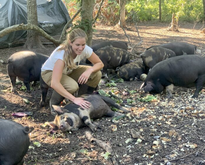 Jo, the pig farmer and her pigs surrounded by the food scraps collected from local restaurants.