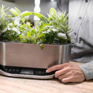 An AeroGarden Bounty Elite hydroponic planter in stainless steel sits on a blonde wood countertop. Herbs including rosemary, sage, and parsley grow in the AeroGarden. We see the torso of a man in a gray shirt; he adjusts a setting on the front panel of the planter with his left hand.