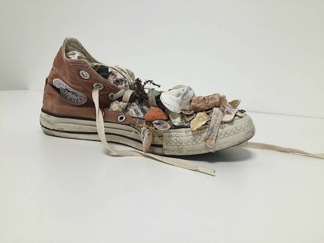 Converse Sneaker filled with objects from the sea, symbolizing what the sea rejects
