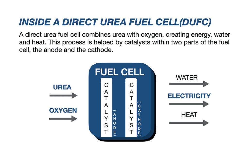 Self-made super simplified diagram of a direct urea fuel cell. Credit: Chaezu Lee
