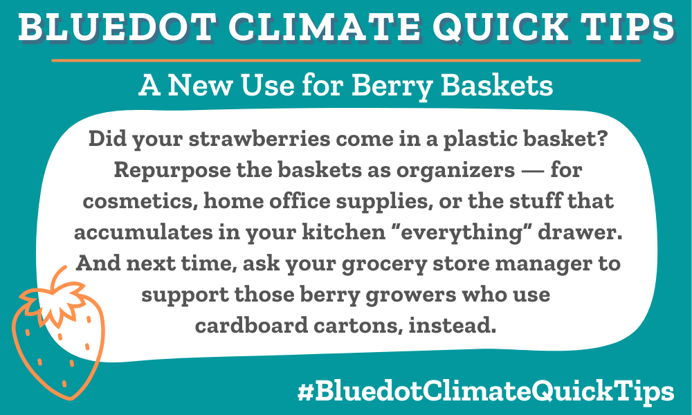 a new use for berry baskets