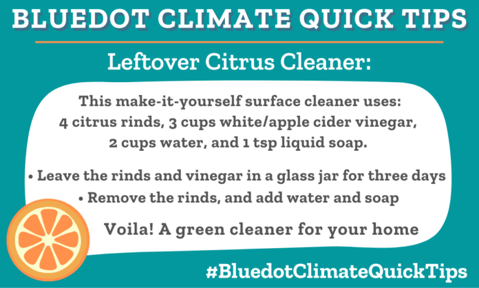 Bluedot Climate Quick Tip for a DIY recipe to make surface citrus cleaner from leftover rinds.
