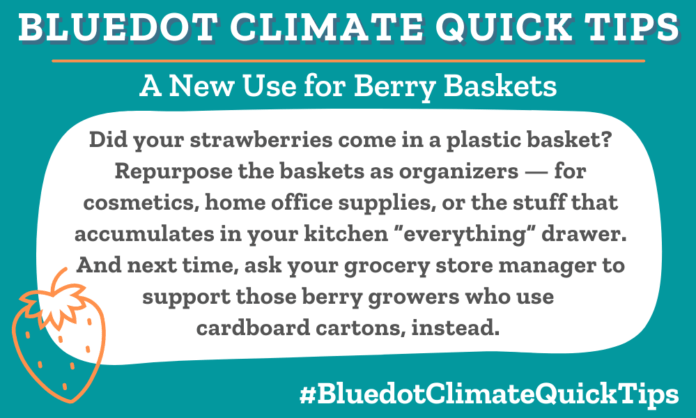 Bluedot Climate Quick Tip on how to reuse berry baskets.