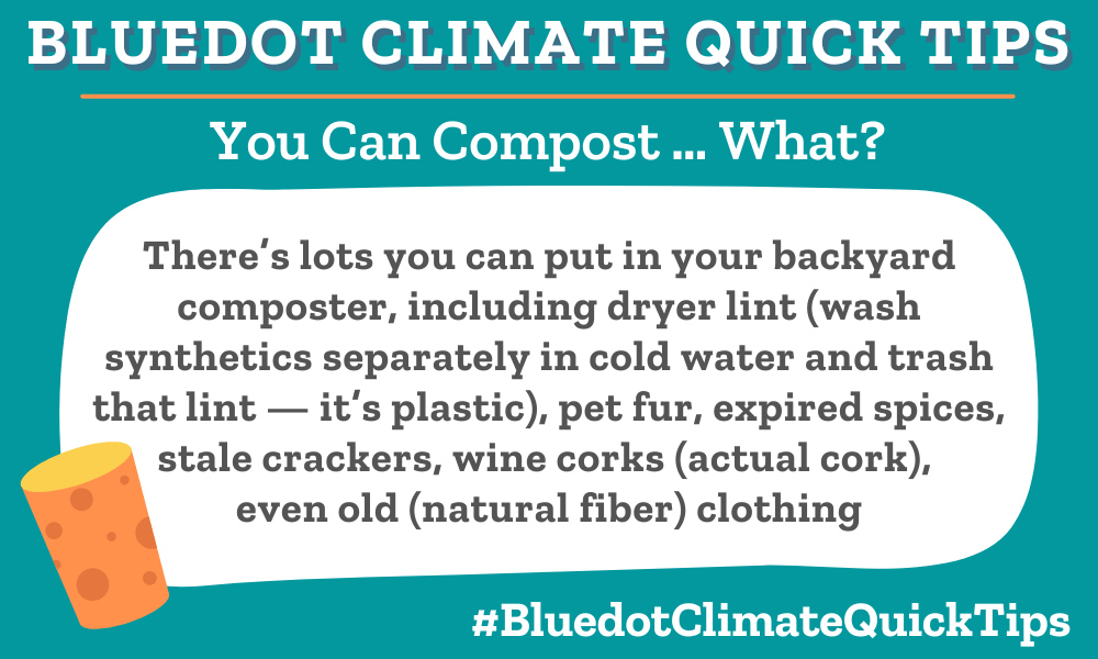 Climate Quick Tip You Can Compost … What? Bluedot Living