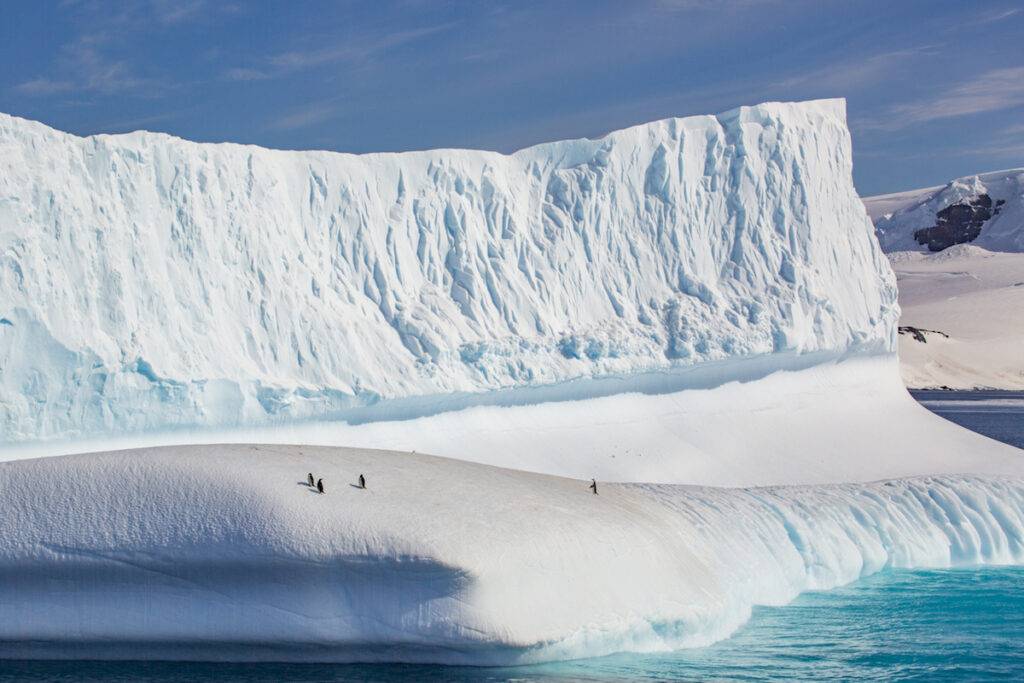 Penguins on an iceberg in Antarctica. 