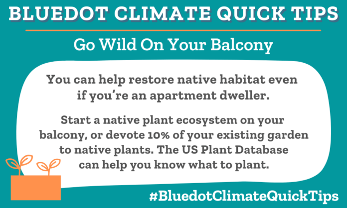 Climate Quick Tip: You can help restore native habitat even if you’re an apartment dweller. Start a native plant ecosystem on your balcony, or devote 10% of your existing garden to native plants. The US Plant Database can help you know what to plant.