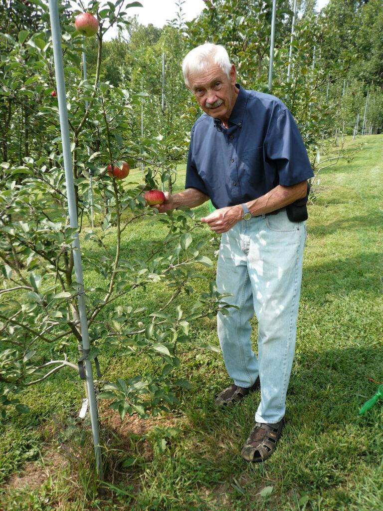 Tom Brown in his orchard with Improved Queen apples.