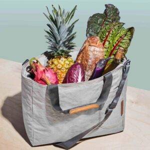 A gray cooler bag with vegetables, fruit, and a bottle of wine inside
