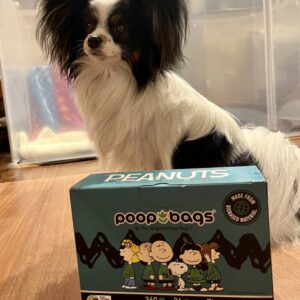 A small white and black dog with big ears stands with his front paws on a box of Original Poop Bags dog doo bags.