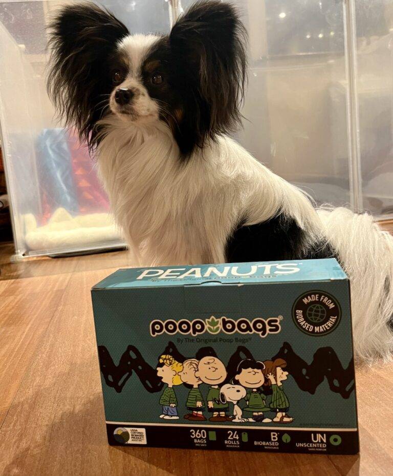 A small white and black dog with big ears stands with his front paws on a box of Original Poop Bags dog doo bags.