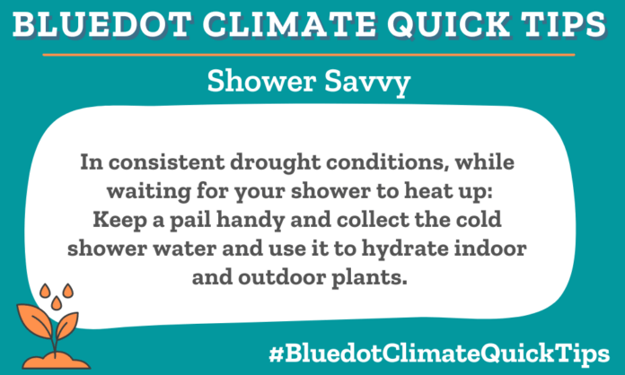 Climate Quick Tip: Shower Savvy In consistent drought conditions, while waiting for your shower to heat up: Keep a pail handy and collect the cold shower water and use it to hydrate indoor and outdoor plants.