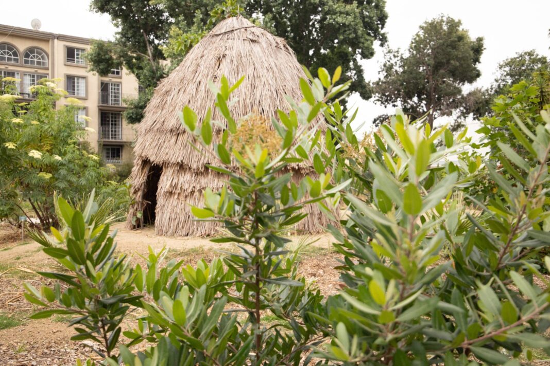 Thatched hut at Kuruvungna Village Springs. — Photos by Gisselle Palomera
