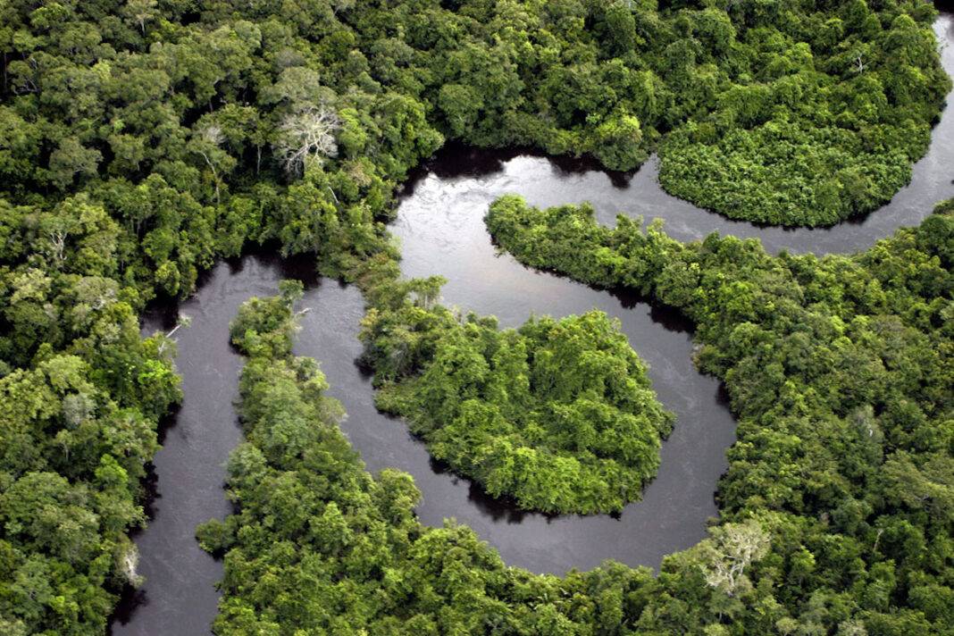 River in the Amazon Rainforest.