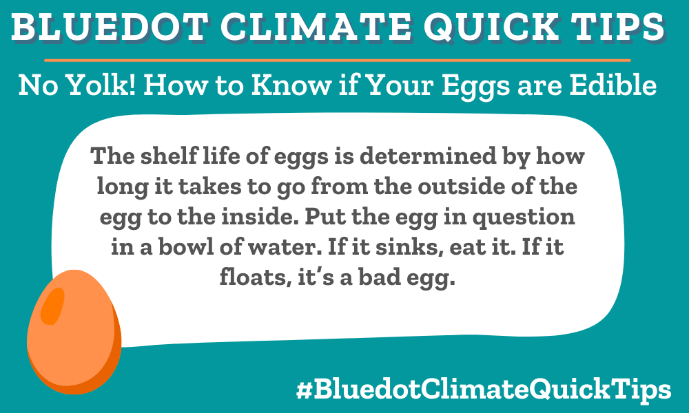 Climate Quick Tip: The shelf life of eggs is determined by how long it takes to go from the outside of the egg to the inside. Put the egg in question in a bowl of water. If it sinks, eat it. If it floats, it’s a bad egg. We throw out a lot of perfectly good food. Learn the truth about best before dates and what can safely be eaten.