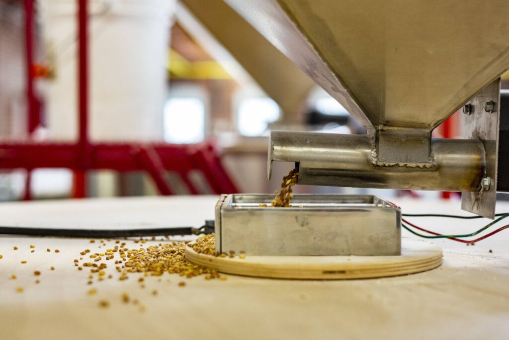 Wheat grain in a stone mill