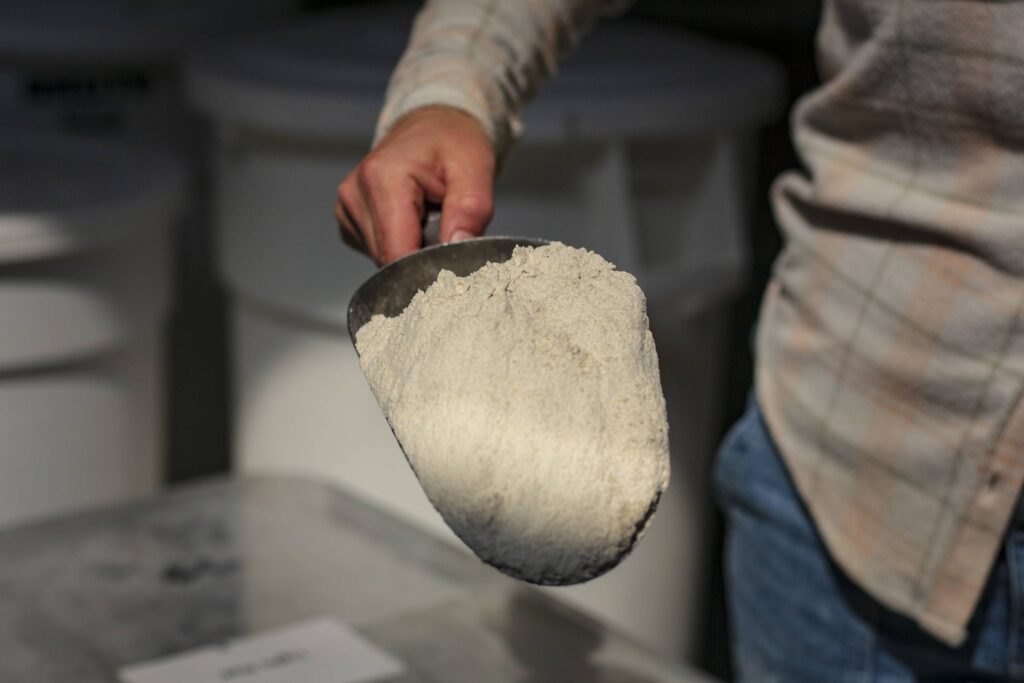 Scoop of rye flour