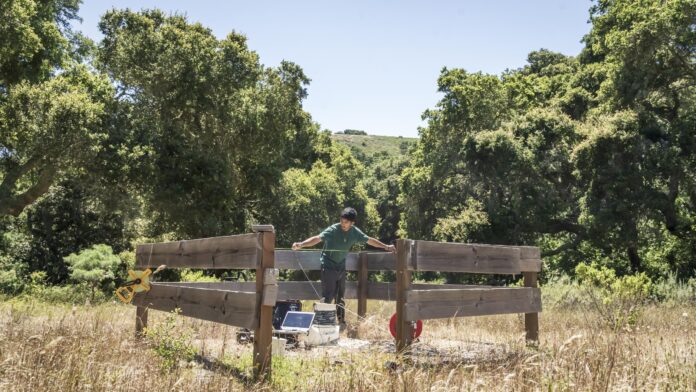 Jinsu Elhance with measuring tape at preserve
