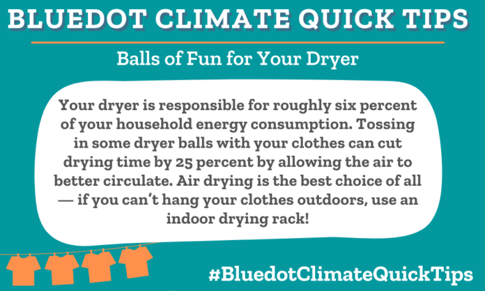 Balls of Fun for Your Dryer: Your dryer is responsible for roughly six percent of your household energy consumption. Tossing in some dryer balls with your clothes can cut drying time by 25 percent by allowing the air to better circulate. Air drying is the best choice of all — if you can’t hang your clothes outdoors, use an indoor drying rack! Bluedot loves Friendsheep drying balls.