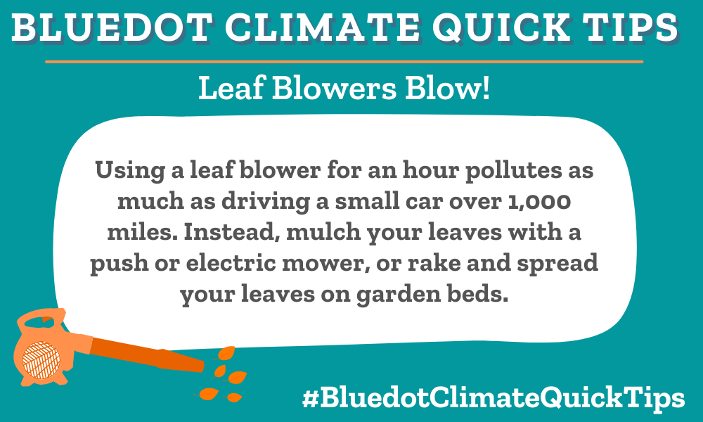 Climate Quick Tip: Leaf Blowers Blow! Using a leaf blower for an hour pollutes as much as driving a small car over 1,000 miles. Instead, mulch your leaves with a push or electric mower, or rake and spread your leaves on garden beds. Leave your leaves to boost the health of your lawn. Bluedot offers more lawn advice.