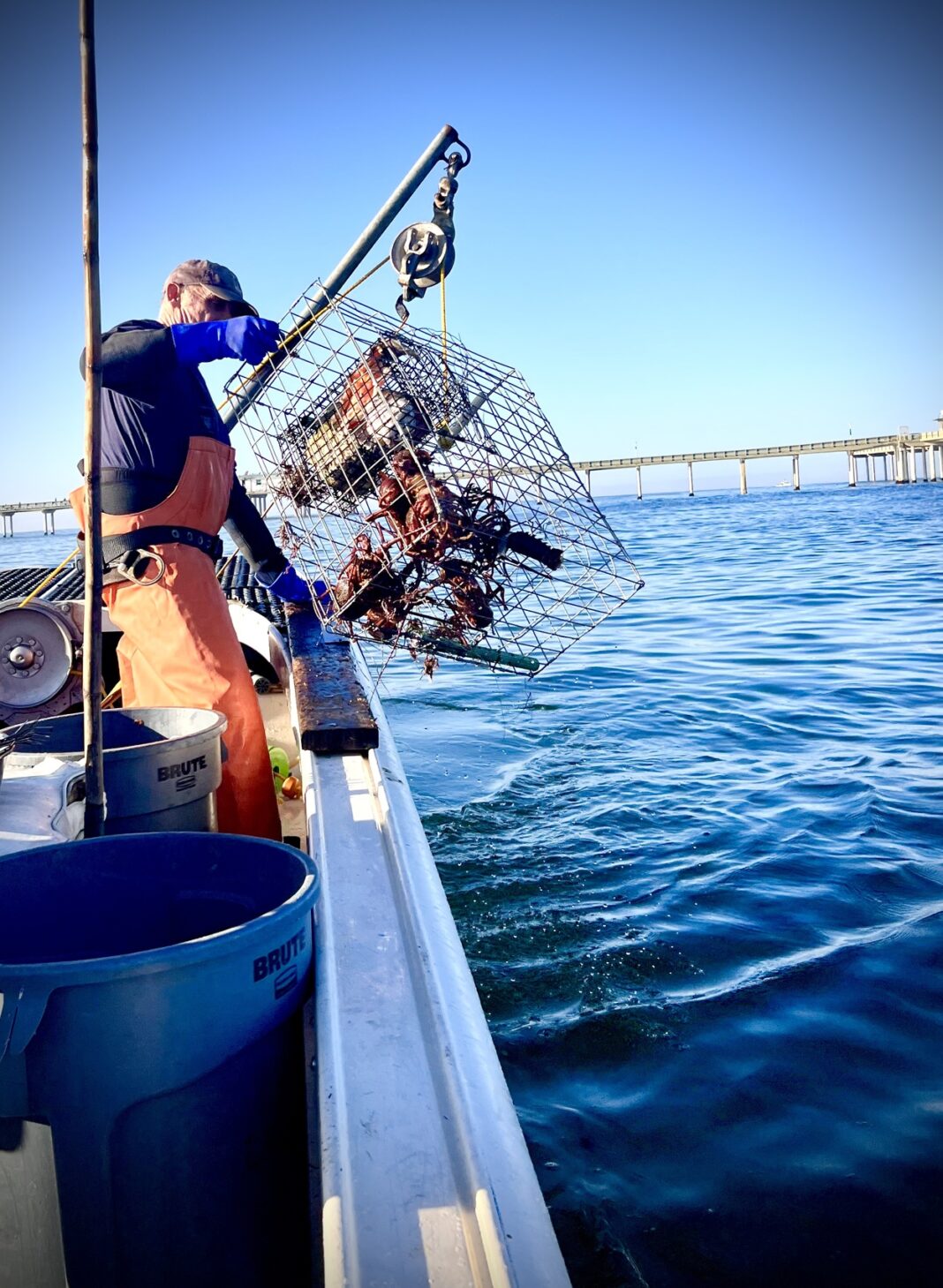 fisherman on a boat with lobster trap