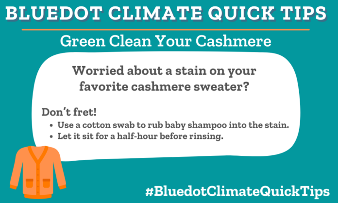 Climate Quick Tip: Green Clean Your Cashmere Worried about a stain on your favorite cashmere sweater? Don’t fret! •Use a cotton swab to rub baby shampoo into the stain. •Let it sit for a half-hour before rinsing.To remove stains on cashmere, rub a cotton swab with baby shampoo and let sit for half an hour before rinsing.