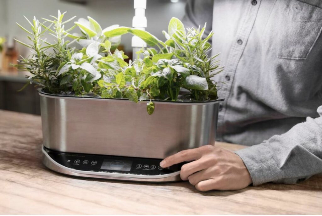 A stainless steel device with buttons on it and fresh herbs growing out of it sits on a wooden countertop; a person in a gray shirt, out of focus, pushes one of the buttons.