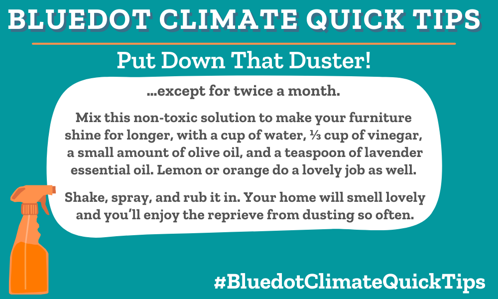 Climate Quick Tip Put Down That Duster! Bluedot Living
