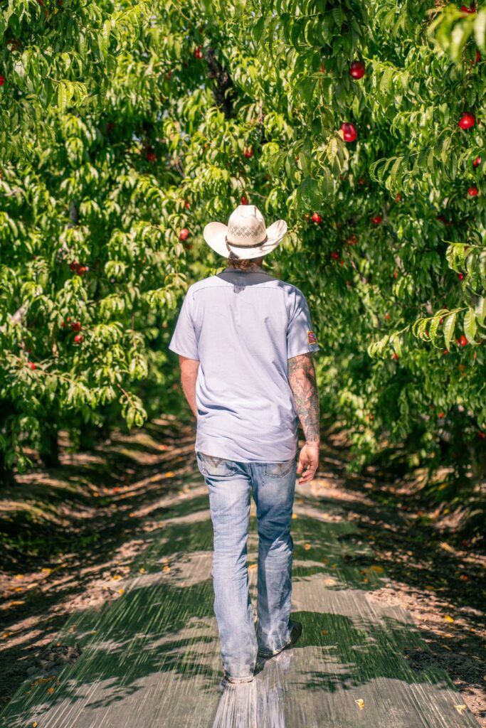 ben moore walking in apple orchard