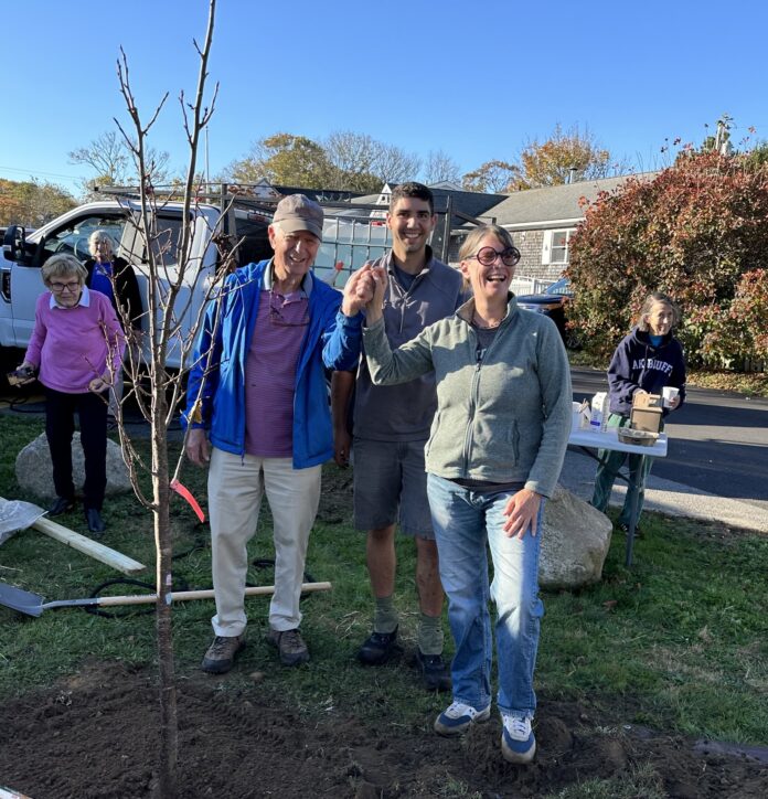 three people planting a tree