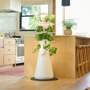 In a bright, spacious kitchen, a white Lettuce Grow hydroponic planter with LED grow lights is positioned next to the kitchen island. The planter, perhaps five feet tall, has a conical white base with about 20 slots where different edible plants, like herbs and lettuces, are growing. Courtesy Lettuce Grow.