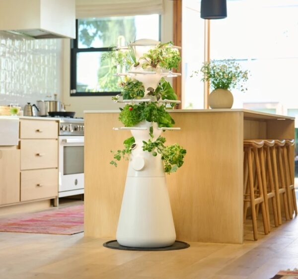 In a bright, spacious kitchen, a white Lettuce Grow hydroponic planter with LED grow lights is positioned next to the kitchen island. The planter, perhaps five feet tall, has a conical white base with about 20 slots where different edible plants, like herbs and lettuces, are growing. Courtesy Lettuce Grow.