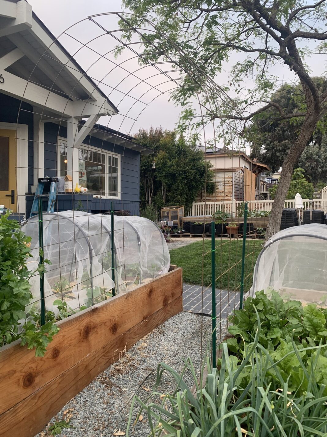 raised beds in front of home
