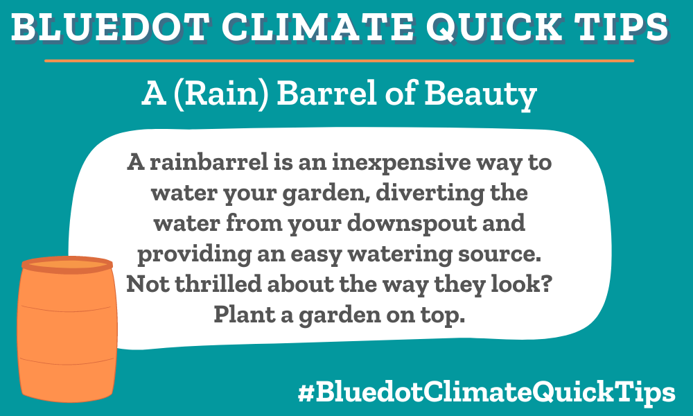 Climate Quick Tip: A (Rain) Barrel of Beauty A rain barrel is an inexpensive way to water your garden, diverting the water from your downspout and providing an easy watering source. Not thrilled about the way they look? Plant a garden on top. Rain barrels cut down on the use of city water to keep your garden growing. This Instagrammer shows how to create a lovely planter on top of your rain barrel.