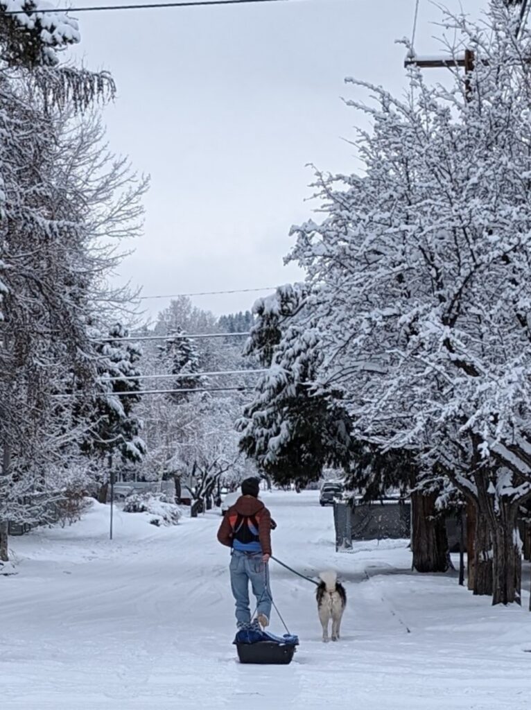 person walking dog and pulling sled on a snowy street