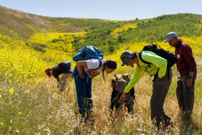 people in a field looking at nature