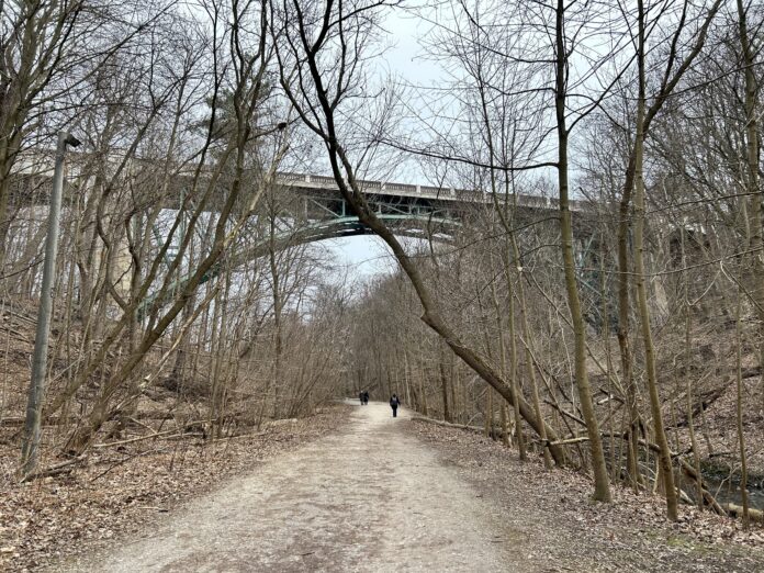 walking trail under bridge in winter