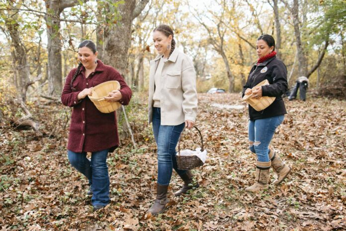 three people walking in the woods in autumn