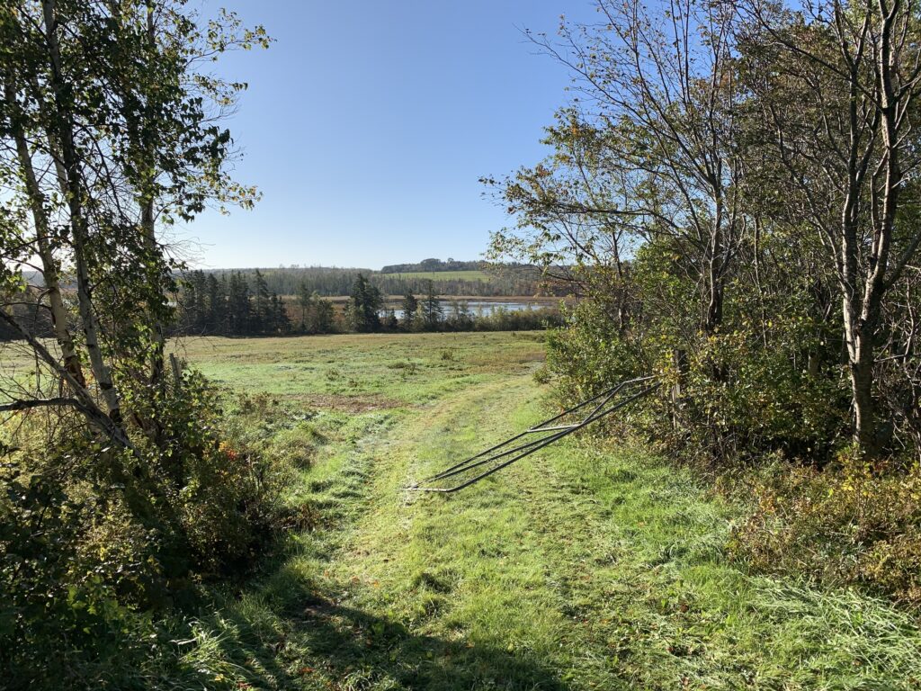 green field with walking trail