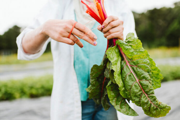 a bundle of chard