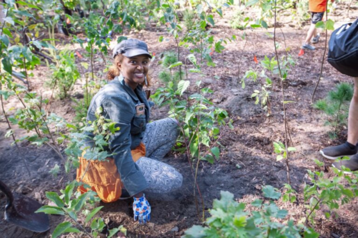 Woman planting a tree.