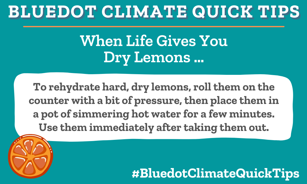 To rehydrate hard, dry lemons, roll them on the counter with a bit of pressure, then place them in a pot of simmering hot water for a few minutes. Use them immediately after taking them out.  To rehydrate dry and hard lemons, roll them on the counter with a bit of pressure and then place them in a pot of simmering hot water for a few minutes. Use immediately, perhaps to make lavender lemonade.