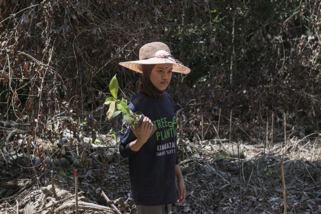Child holds sprout in forest.