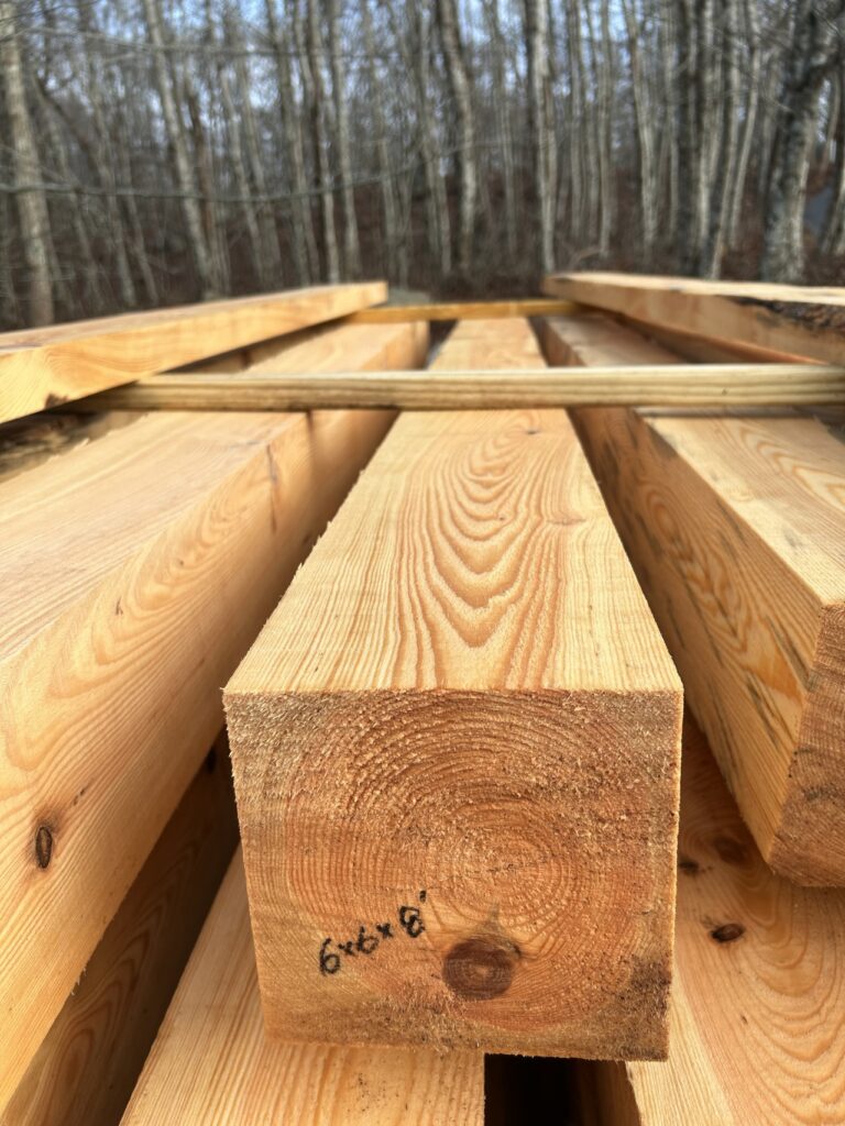 lumber in forest