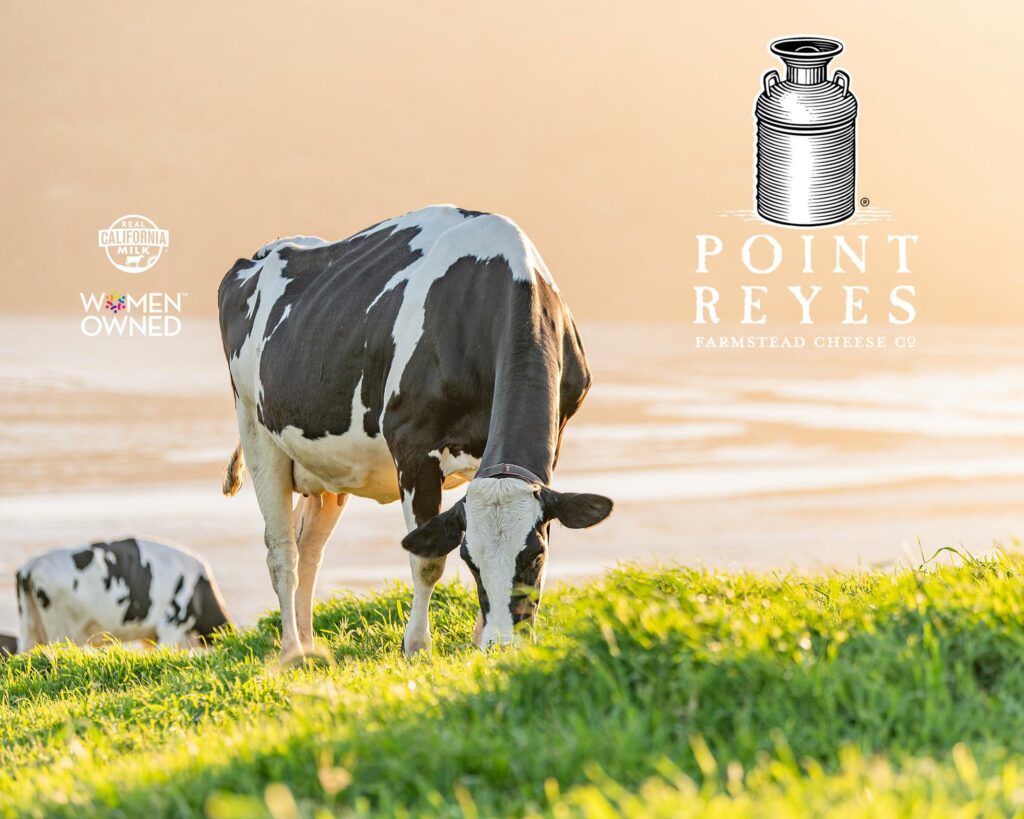 Point Reyes Farmstead Cheese Company logo with cow grazing on grass